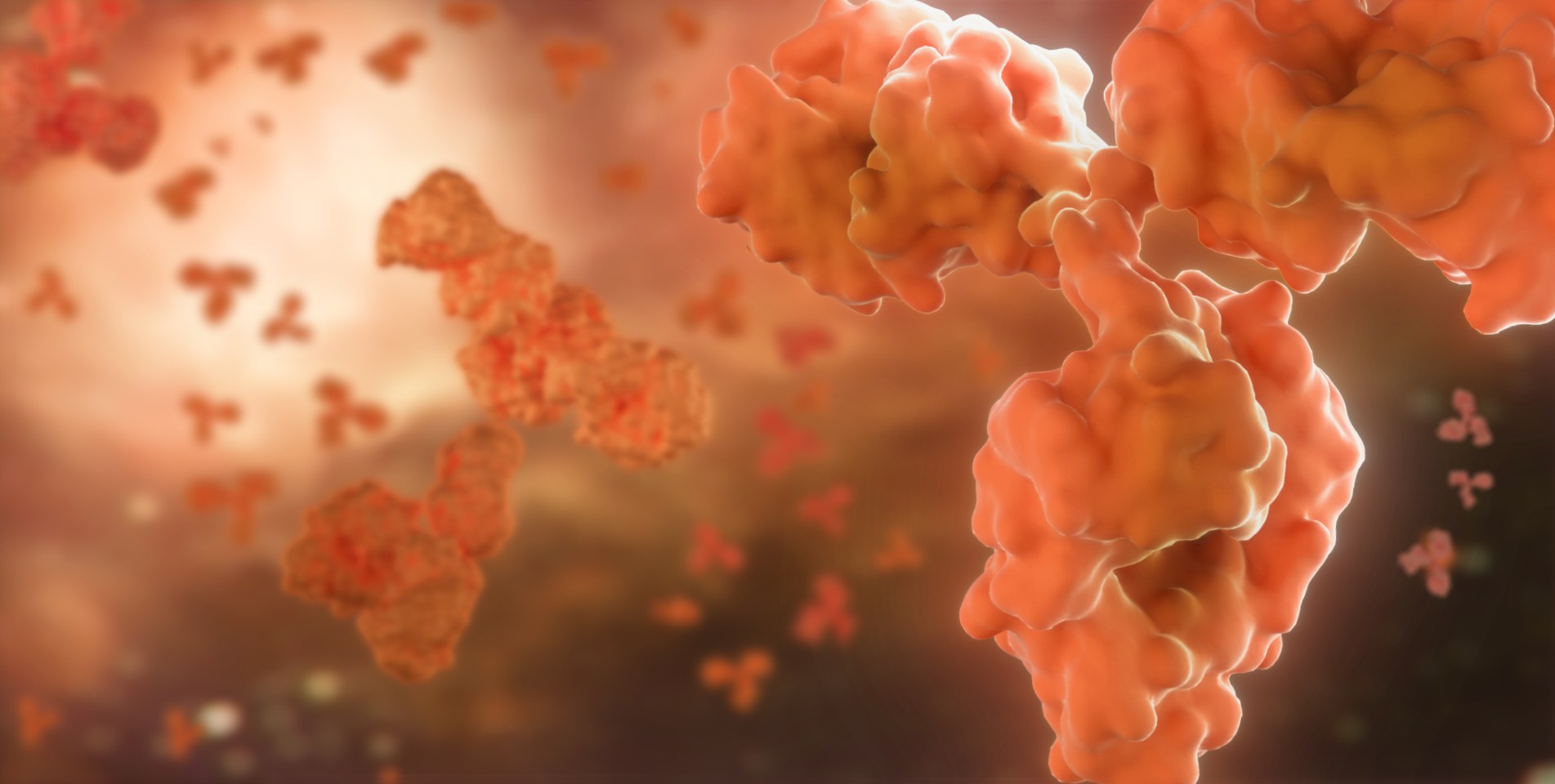 88858cc永利科技集团股份有限公司